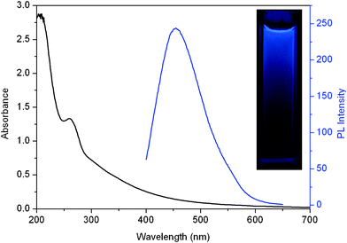 
          UV-vis absorption (black) and photoluminescence (blue) spectra of the CNDs–D dispersion. Inset: photograph of CNDs–D dispersion under UV light (365 nm).