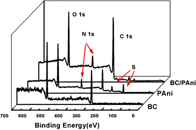 XPS of BC, PAni and BC–PAni-2.