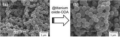 
            SEM images of titanium oxide–ODA spherical particles (a) before and (b) after seed growth.