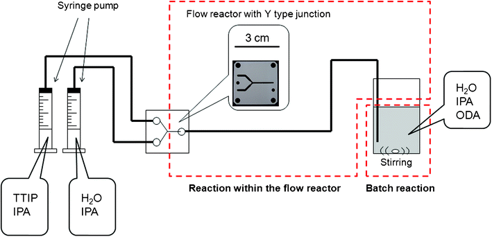 Illustration of the experimental setup used in this study.