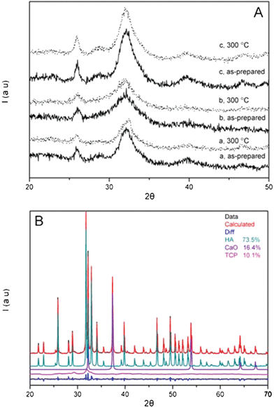 
            XRD patterns recorded for alginate/CP composites: (A) mineralized beads before (as-prepared) and after heat treatment at 300 °C: a, Alg/CP–CD; b, Alg/CP–ALP Cell; c, Alg/CP–ALP. (B) Alg/CP–ALP, after heat treatment at 1000 °C. Black and red curves are raw- and refined data, respectively, while the blue curves show the difference between raw- and calculated data, Rwp (%) is 4.77, and GOF is 1.89.