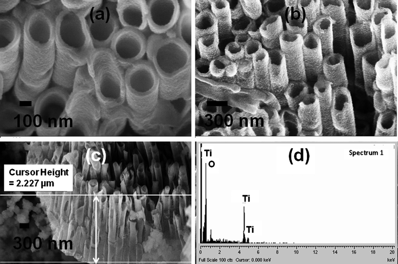 Scanning electron micrographs of (a) top view and (b) side view of thick walled TiO2 nanotubes; length of tubes shown in (c); EDS provided in (d).