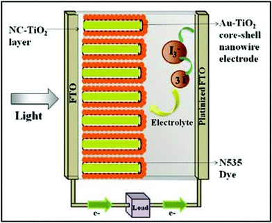 Schematic of assembled TiO2 nanotube DSSC or Au–TiO2 core-shell DSSC (NC = nanocrystalline). Not to scale; tube length exaggerated to better illustrate structure.