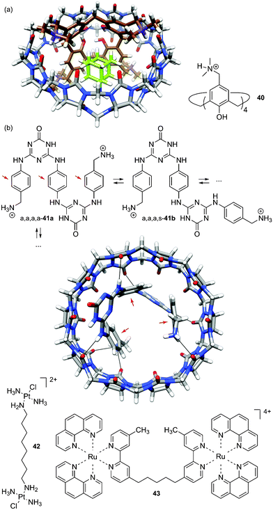 (a) MMFF-optimized structure of ternary complex 9b·40·CB[10] (1-adamantylammonium (9b) in bright green and calixarene 40 in brown and violet).35 (b) Conformers of triazene-arylene 41 and X-ray structure of complex a,a,a,a-41a ⊂ CB[10].234 Red arrows point towards the three phenylene units. Structures of Pt(ii) and Ru(ii) complexes 42 and 43; both can be encapsulated by CB[10].36