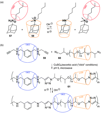 (a) pH-mediated selective host/guest pairing between secondary and quaternary ammonium cations 57 and 58, CB[8] and β-CD.268 (b) CB[7]-shuttling along a β-CD-shielded polymer.269