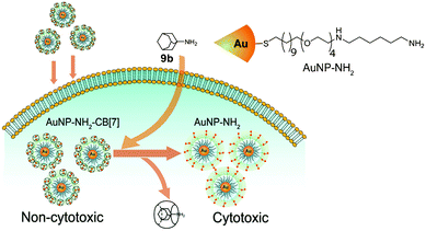 CB[7]-controlled cytotoxicity of functionalized gold nanoparticles. Reprinted with permission from ref. 335. Copyright 2010 Nature Publishing Group.