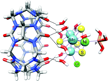 Clusters interacting with CB[n]s via their coordinated water molecules: structure of the CB[6]/{[Mo3(Ni(P(OH)3)S4(H2O)8Cl]3+}2 adduct (only one cluster shown; a second complex interacts with the opposite CB[6] portal). Violet lines represent metal–ligand and metal–metal bonds, and dashed black lines hydrogen bonding interactions between water and the CB[6] rim.78