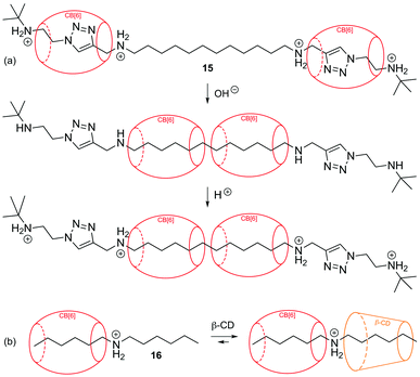 (a) Two CB[6] units locked along the 1,12-dodecanediammonium station of axle 15.169 (b) Formation of a 1 : 1 complex between dihexylammonium (16) and CB[6], and of a ternary assembly with β-CD.177