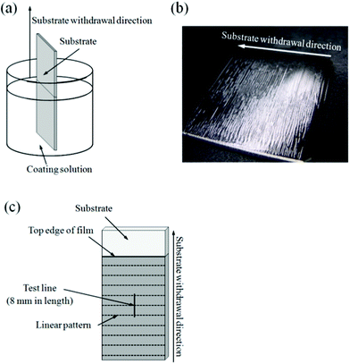 Schematic illustration of the dip-coating process (a), a typical dip-coating film prepared at extremely low substrate withdrawal speeds (b) and the test line employed in the surface roughness measurement (c).