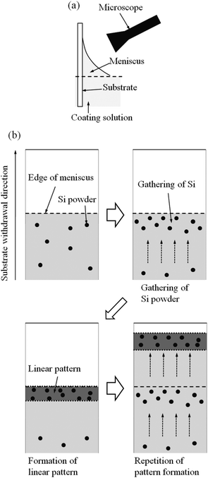 Experimental set-up for in situ observation (a) and the schematic illustration of the result of the observation (b) (silicon powders were used as the marker for visualizing the flow of solution).