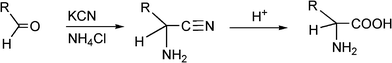 3MC Strecker reaction.