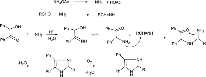 Proposed mechanism for the formation of multi-substituted imidazole derivatives.