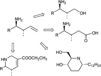 Different transformations of homoallylic amines.