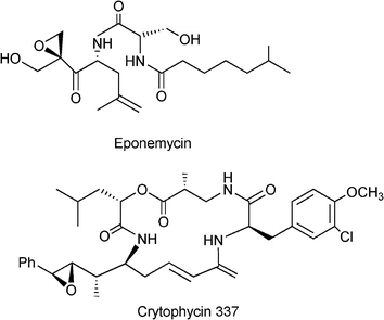 Natural products containing homoallylic amines moiety.