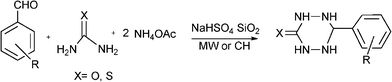 MC synthesis of 6-aryl-1,2,4,5-tetrazinane-3-one (XO) and 6-aryl-1,2,4,5-tetrazinane-3-thione (XS) derivatives.