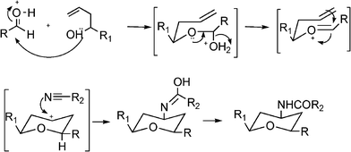 Reaction mechanism for the formation of cis-amidotetrahydropyrans via Prins–Ritter reaction sequence.