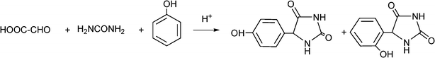 Synthesis of dl-5-(4-hydroxyphenyl)hydantoin from amidoalkylation of phenol with urea and glyoxylic acid.