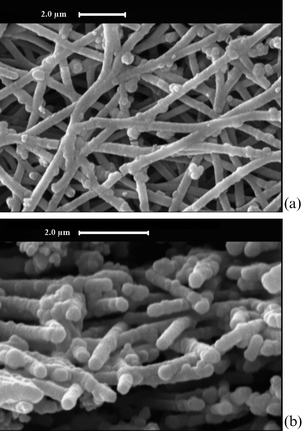 
          SEM images of (a) surface and (b) cross section of Ni-coated CGECNFs.