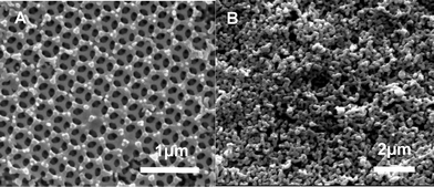 
          SEM micrographs of (A) the 3-DOM LSM/YSZ composite cathode fast firing at 1000 °C for 15 min and (B) the LSM/YSZ composite cathode obtained by conventional firing at 1000 °C.