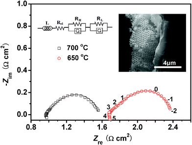 
          Nyquist plots of the 3-DOM LSM/YSZ composite cathode fast firing at 1000 °C for 15 min, operating at 650 °C and 700 °C. Symbols correspond to the experimental data and solid lines correspond to fitted results using the equivalent circuit shown inset. The numbers indicate the frequency (logarithm). The inset shows the cross-section SEM image of the 3-DOM LSM/YSZ composite cathode.