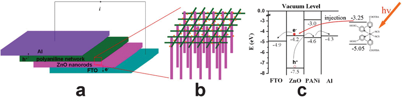 Schematic diagrams describing (a) the structure of dye-sensitized FTO/ZnO nanorods:macroporous PANi network/Al heterojunction, (b) interpenetration of aligned ZnO nanorods and macroporous PANi network, and (c) energy level for the device with energy levels in eV relative to vacuum.