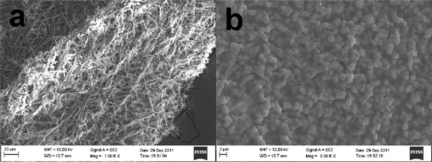 (a) Cross-sectional and (b) backside SEM views of ESM.