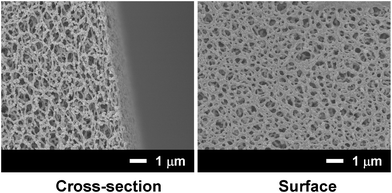 
          FE-SEM images of a cellulose acetate membrane containing the AB-NTA-surfactant.