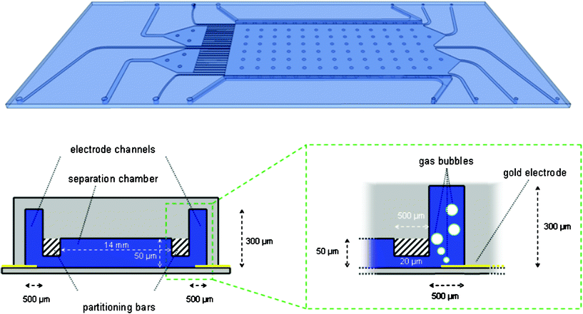 Chip layout and cross-sectional diagram of the separation chamber, the electrode channels and the partitioning bars showing the principle of bubble retention.