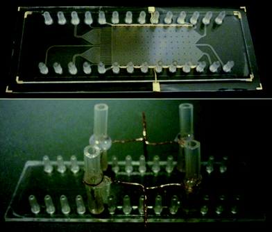 COP chip with integrated gold electrodes (upper picture) and COP chip with external copper wire electrodes (lower picture).