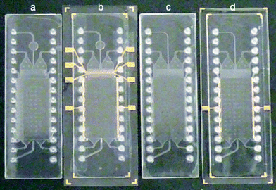 Utilized COP chips. a) electrode-less design with detection target chamber, b) design with detection target chamber and integrated electrodes, c) electrode-less standard design, d) standard design with integrated gold electrodes.