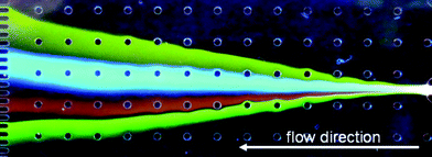 Free-flow zone electrophorectic separation of four fluorescent dyes. Analytes top down: rhodamine 6G, coumarin 120, sulforhodamine B, fluorescein. Separation in 10 mM HEPES buffer pH 7.5, 0.1% HPMC, 0.1% Tween 20 at 589 V using external electrodes.