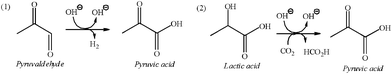 The proposed pathway for production of pyruvic acid as a side reaction.