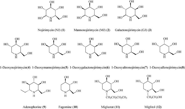 Representative piperidine-based iminosugars.