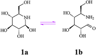 
          Hemiacetal structures of nojirimycin.