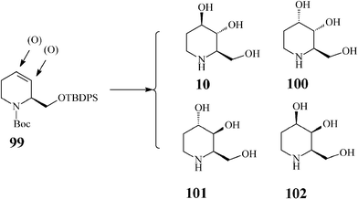 Fagomine (10) and isomers (100–102).