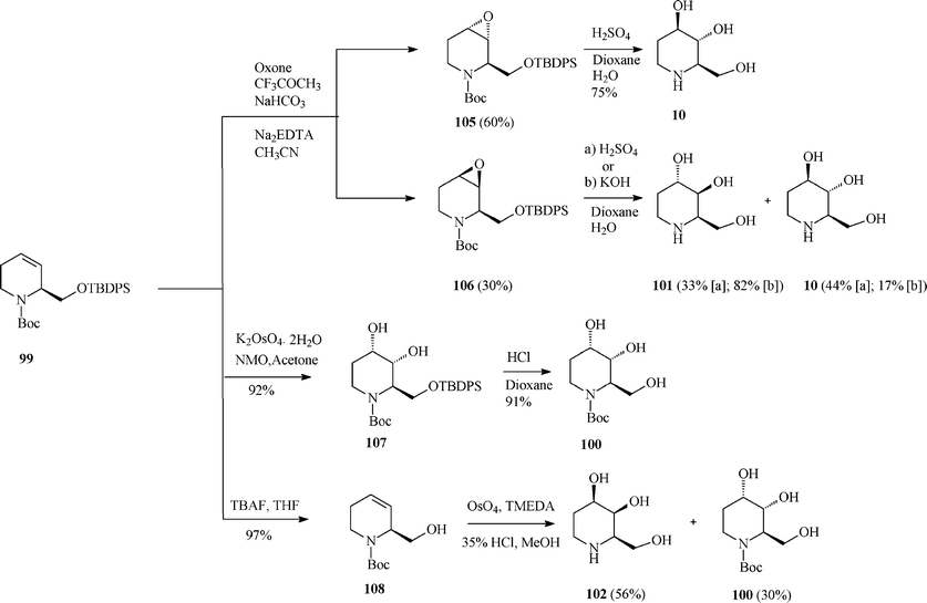 Total synthesis of fagomine (10) and isomers.