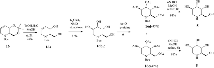 Access to 1-deoxymannonojirimycin (5) and 1-deoxyallonojirimycin (8) starting from the tetrahydropyridine core 16.