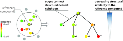 
          Similarity-Potency Tree. The design principles of the SPT data structure providing a compound-centric local SAR view are illustrated.