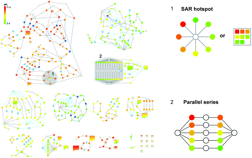 
          Bipartite Matching Molecular Series Graph. The complete BMMSG representation of a set of 881 factor Xa inhibitors taken from BindingDB50 is displayed. Set nodes are colored in white, light blue, or dark blue, dependent on the type of transformation from which they result, and molecule nodes are colored by potency. Two signature subgraph patterns are labeled and shown in enlarged form. The alternative way to represent an SAR hotspot via a series of squared molecule nodes in a set node is termed a ‘supernode’. The representation has been adapted from ref. 42.