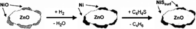 Schematic illustration of SARS of thiophene with Ni/ZnO.19,29–31