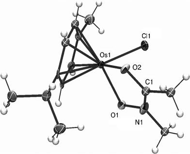 X-Ray structure of [Os(η6-p-cym)(meaha)Cl] (6). Thermal ellipsoids show 50% probability with partial numbering scheme. Selected bond lengths (Å) and angles (°): Os(1) –Cl(1) 2.429(2), Os(1) –O(1) 2.075(4), Os(1) –O(2) 2.092(4), Os(1) –Carene(avr.) 2.172(25); O(1) –Os(1) –O(2) 76.68(15), Cl(1) –Os(1) –O(1) 82.19(11), Cl(1) –Os(1) –O(2) 82.99(11).