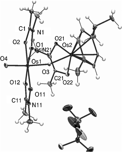 X-Ray structure of [{Os(η6-p-cym)(meaha)}(μ–O){OsO(meaha)2}]CF3SO3 (17). Thermal ellipsoids show 50% probability with partial numbering scheme. Selected bond lengths (Å) and angles (°): Os(1) –O(1) 1.979(2), Os(1) –O(2) 2.054(2), Os(1) –O(3) 1.781(2), Os(1) –O(4) 1.718(3), Os(1) –O(11) 1.977(3), Os(1) –O(12) 2.058(3), Os(2) –O(3) 2.035(2)Os(2) –O(21) 2.063(3), Os(2) –O(22) 2.058(2), Os(1) –Carene(avr.) 2.178(14); Os(1) –O(3) –Os(2) 162.58(14), O(21) –Os(2) –O(22) 78.07(10), O(21) –Os(2) –O(3) 82.51(10), O(22) –Os(2) –O(3) 81.74(10), O(3) –Os(1) –O(4) 169.84(13).