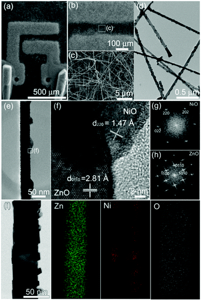 Morphology and crystal structures of the NiO-decorated ZnO NWs: (a), (b), and (c) SEM images of NiO-decorated ZnO NWs grown on alumina substrates with two Au electrodes; (d), (e), and (f) TEM images of ZnO NWs decorated with lenticular NiO nanoparticles; (g) and (h) FFT of electron diffraction patterns of NiO and ZnO; (i) TEM image of ZnO NW decorated with angular NiO nanoparticles and EDS elemental mapping of Zn, Ni, and O.