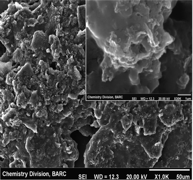 
              SEM image of SWCNT-Pt. Inset shows the higher magnification image.