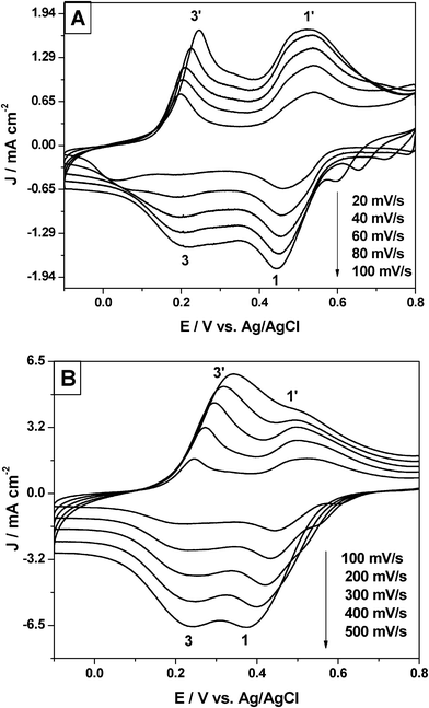 
              Cyclic voltammogram of 25 mM Pu(iv) in 1 M H2SO4 solution on PANI-Pt electrodes. Scan rate range: (A) 20–100 mV s−1 and (B) 100–500 mV s−1.