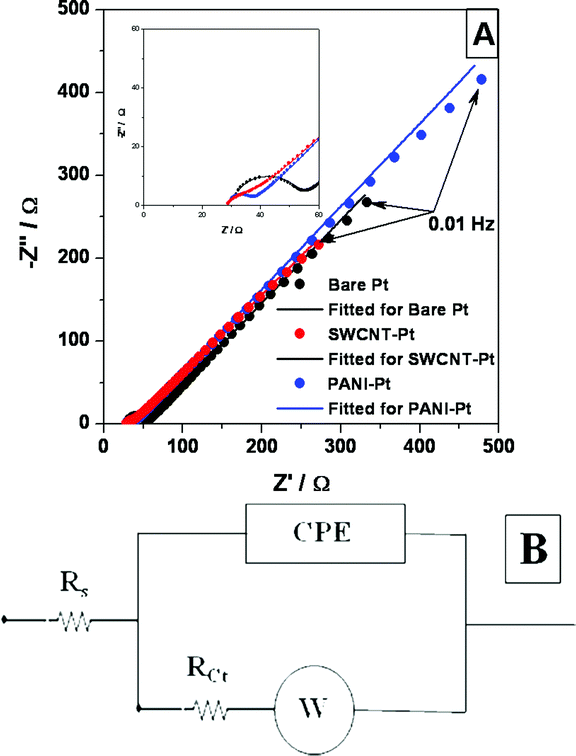 (A) Nyquist plots of Pt, SWCNT-Pt and PANI-Pt electrodes in 25 mM K3[Fe(CN)6]/K4[Fe(CN)6] + 0.1 M KCl at the open circuit potential (OCP) with an amplitude of 5 mV in the frequency range 106 Hz–10−2 Hz. Inset shows the zoomed image of the same in the higher frequency region. (B) The best fitted EEC of the impedance spectra.