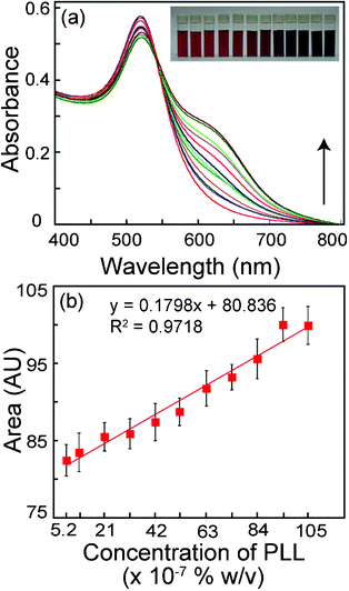 (a) UV-vis spectrum of citrate-stabilized Au NPs with increasing concentration of poly-l-lysine (PLL). Spectral measurements were performed following 30 min of addition of PLL solution to Au NPs. The lowest trace (red color) is for the control sample consisting of Au NP alone. The subsequent traces were obtained with increasing concentration of PLL as indicated by arrow. Inset shows photographs of vials of Au NP solution in the presence of increasing concentration of PLL (left to right). (b) Area under the UV-vis spectrum in (a) versus the corresponding PLL concentrations.