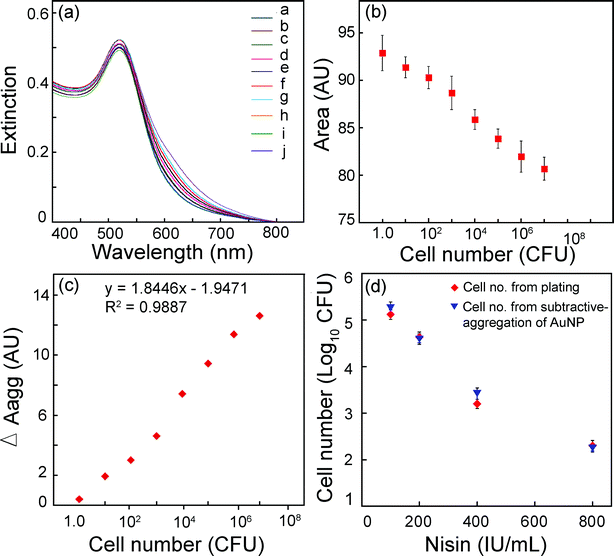 (a) UV-vis extinction spectrum for estimation of cell numbers for Leuconostoc mesenteroidesNRRL B640 by Au NP aggregation. Traces a–h correspond to decreasing cell numbers (107–1.0 CFU), trace i: Au NP alone (volume adjusted) and trace j: Au NP interacted with 3.5 × 10−5% w/v PLL. (b) Area under UV-vis extinction spectrum as a function of bacterial cell numbers. (c) Plot for subtractive-aggregation (ΔAagg) versus bacterial cell numbers. (d) Estimation of cell numbers for L. mesenteroidesNRRL B640 to determine antimicrobial susceptibility to nisin treatment. Cell number from subtractive-aggregation of Au NP was determined by calculating ΔAagg for nisin treated samples and using the equation shown in Panel c.