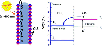 The photoinduced electron transfer process from CIS particles to TiO2 fibers.