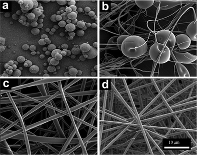 SEM micrographs of electrospun HPβCD solutions of a) 50 wt%, b) 60 wt%, c) 65 wt%, and d) 70 wt%.